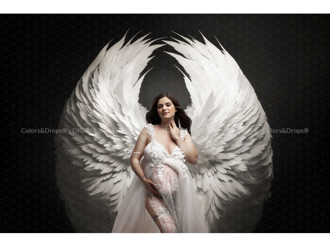 X5 BE WINGS DIGITAL BUNDLE