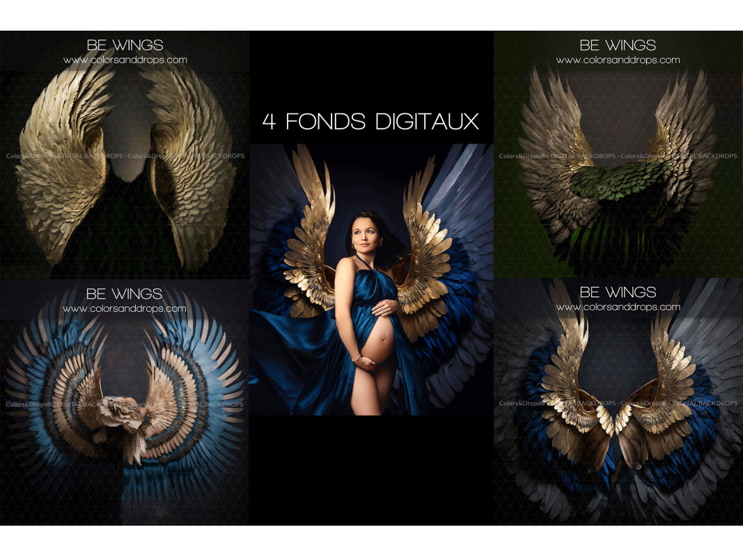X4 BE WINGS DIGITAL BUNDLE