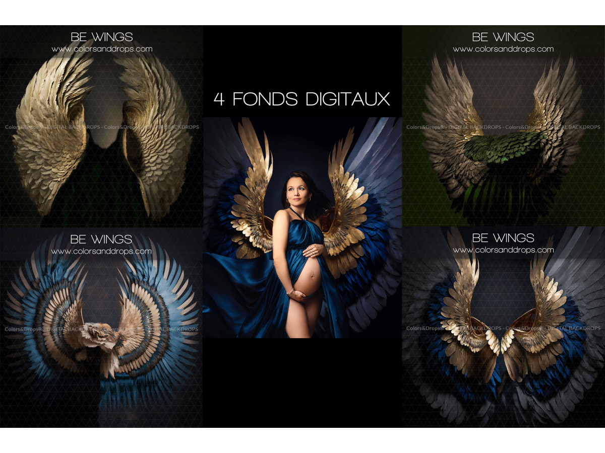 X4 BE WINGS DIGITAL BUNDLE
