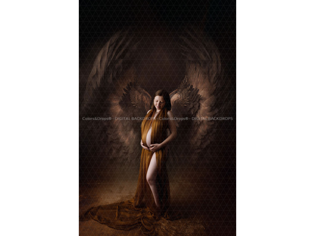 X13 BE WINGS DIGITAL BUNDLE