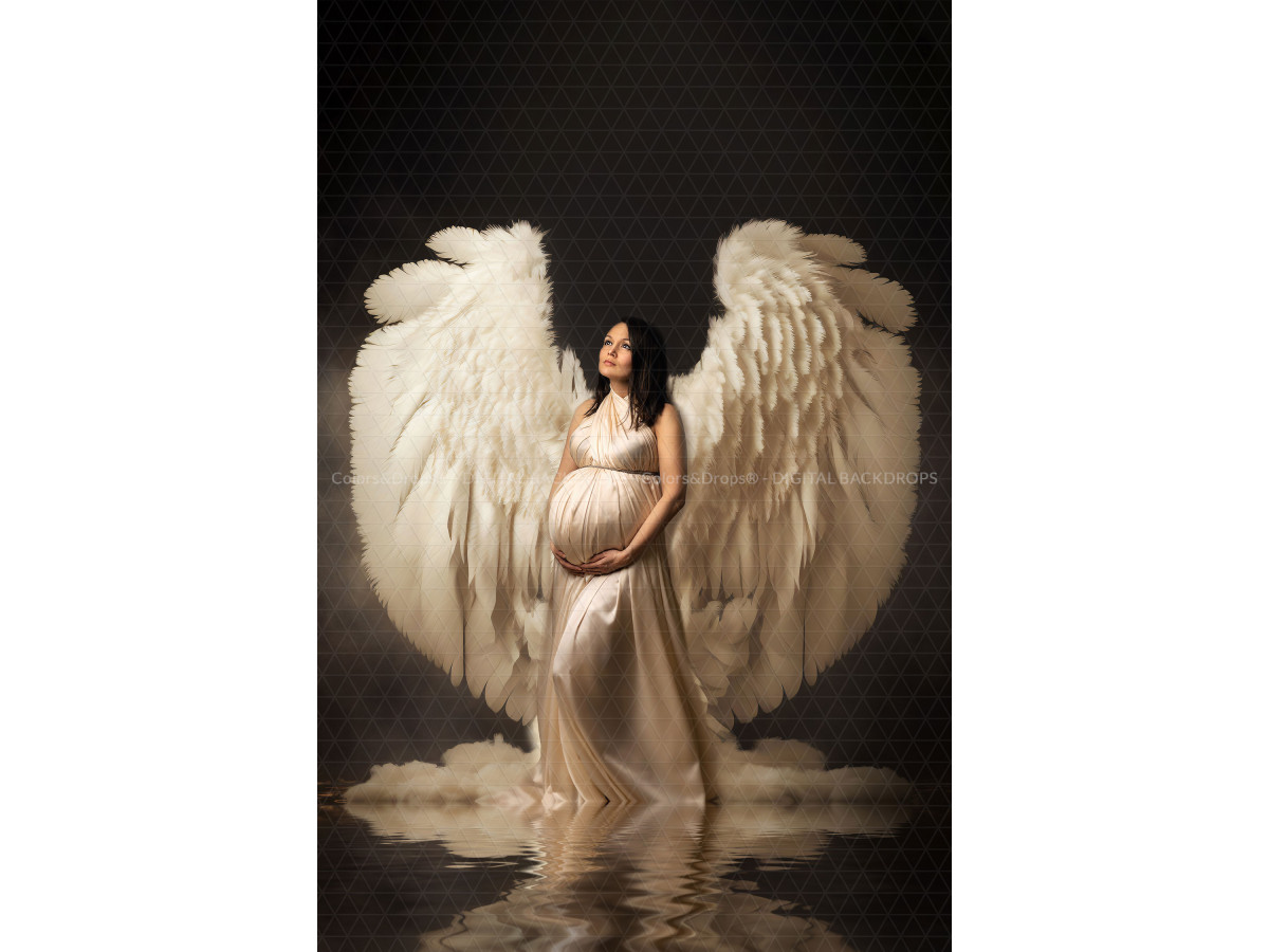 X13 BE WINGS DIGITAL BUNDLE