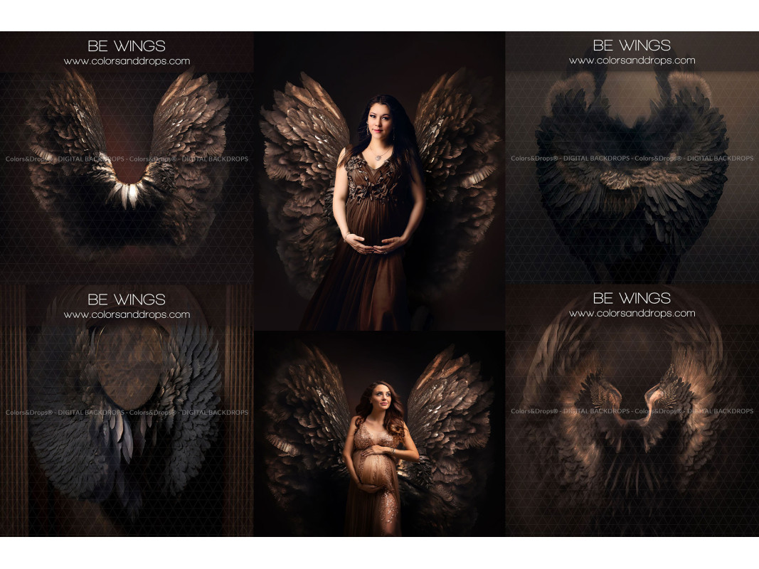 X13 BE WINGS DIGITAL BUNDLE