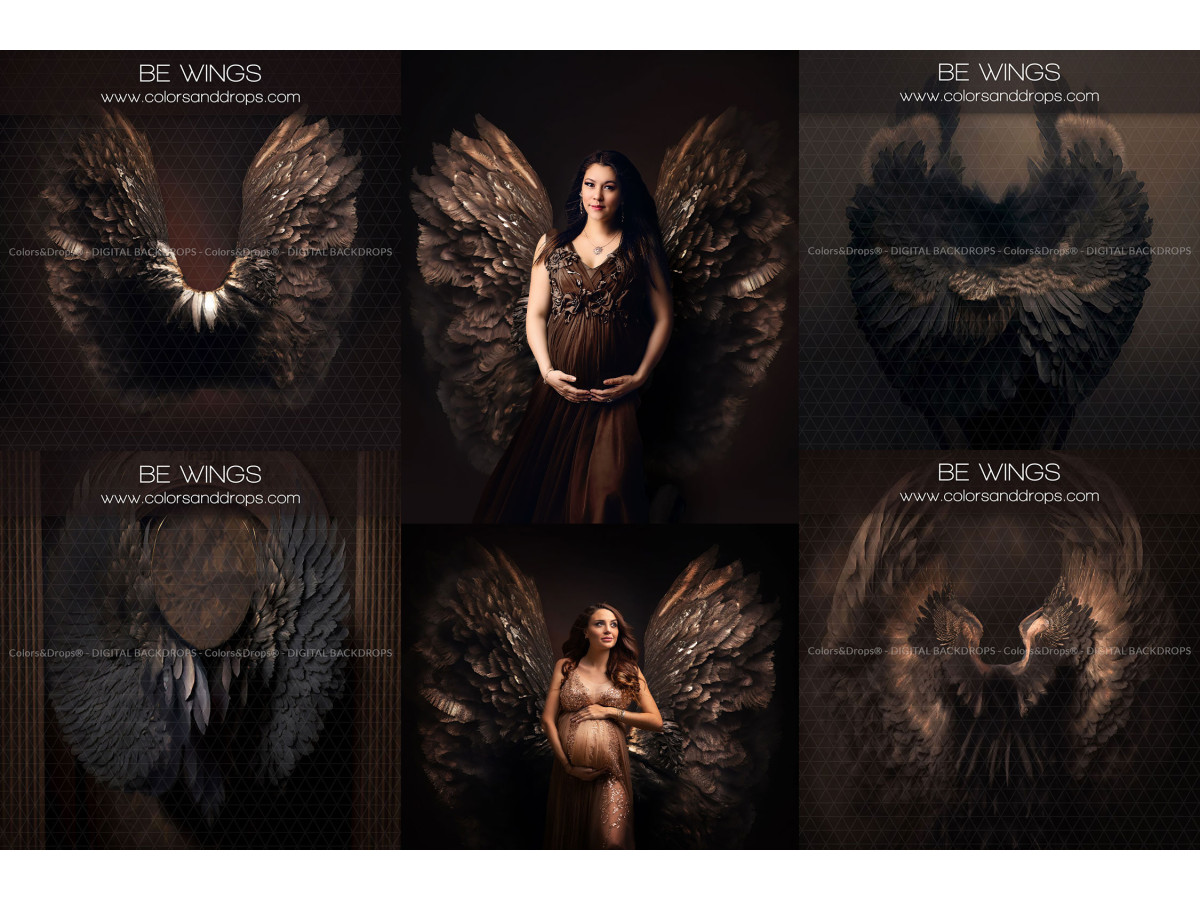 X13 BE WINGS DIGITAL BUNDLE