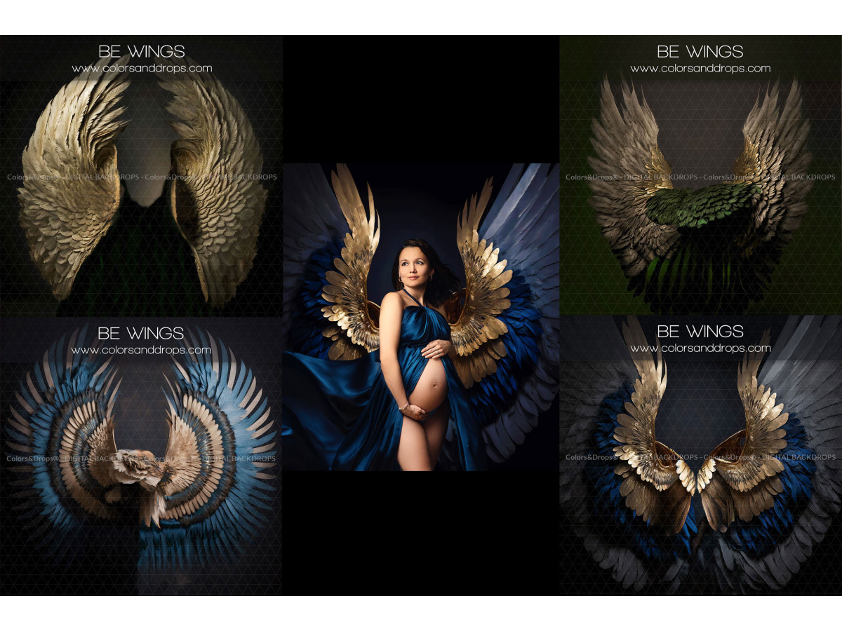 X13 BE WINGS DIGITAL BUNDLE
