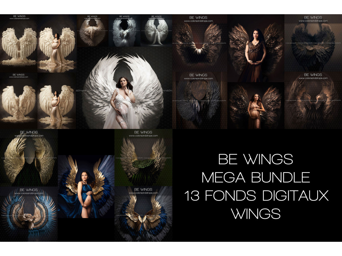 X13 BE WINGS DIGITAL BUNDLE