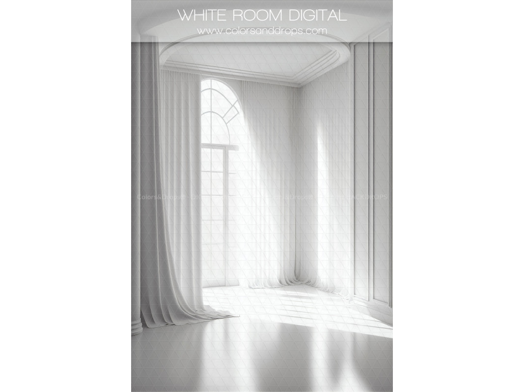 X10 WHITE ROOM DIGITAL BUNDLE