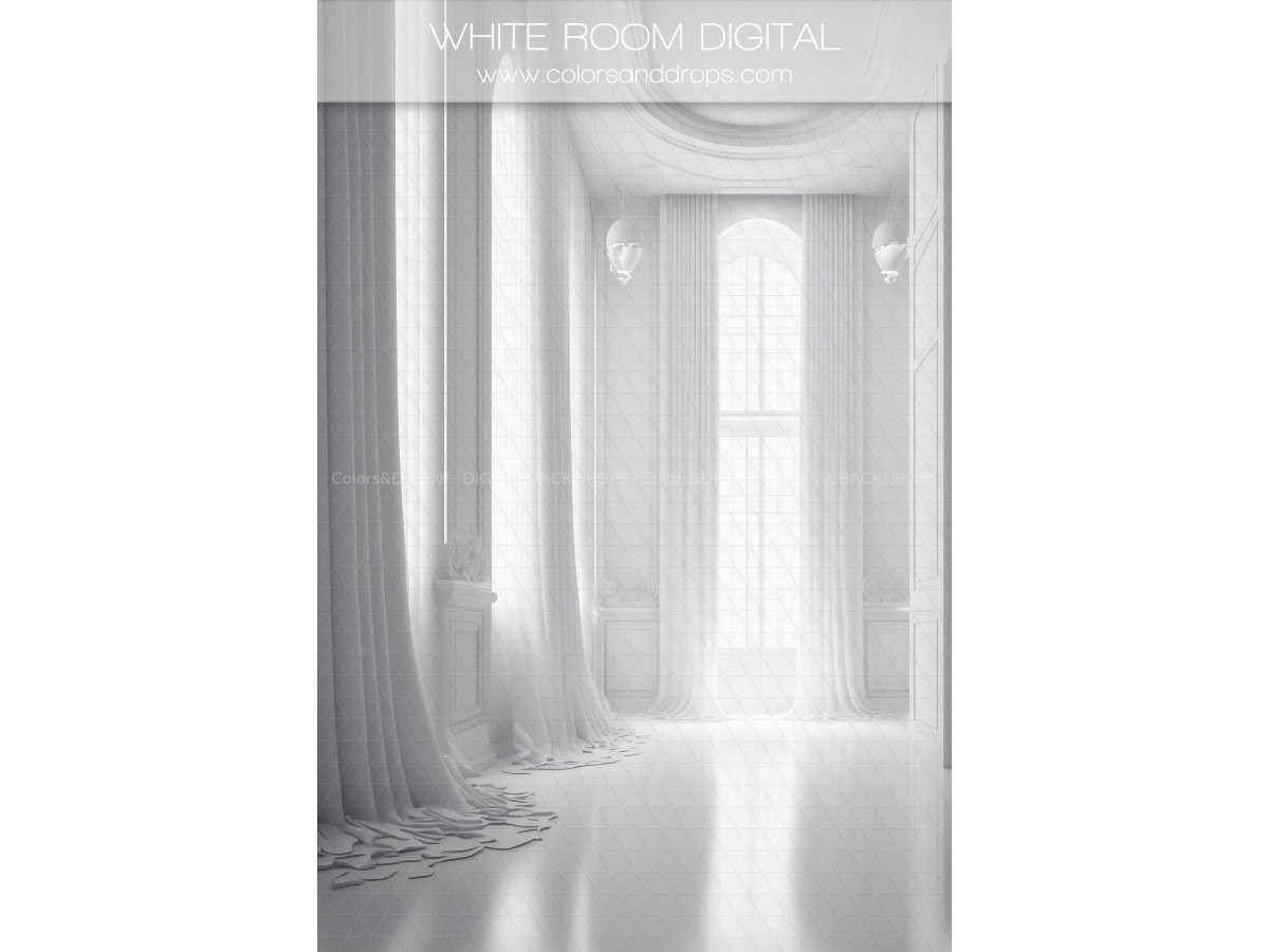 X10 WHITE ROOM DIGITAL BUNDLE