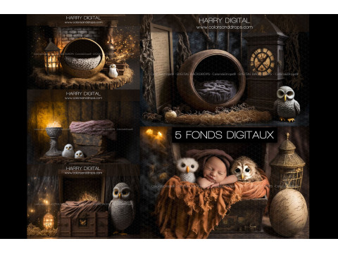 HARRY DIGITAL BUNDLE