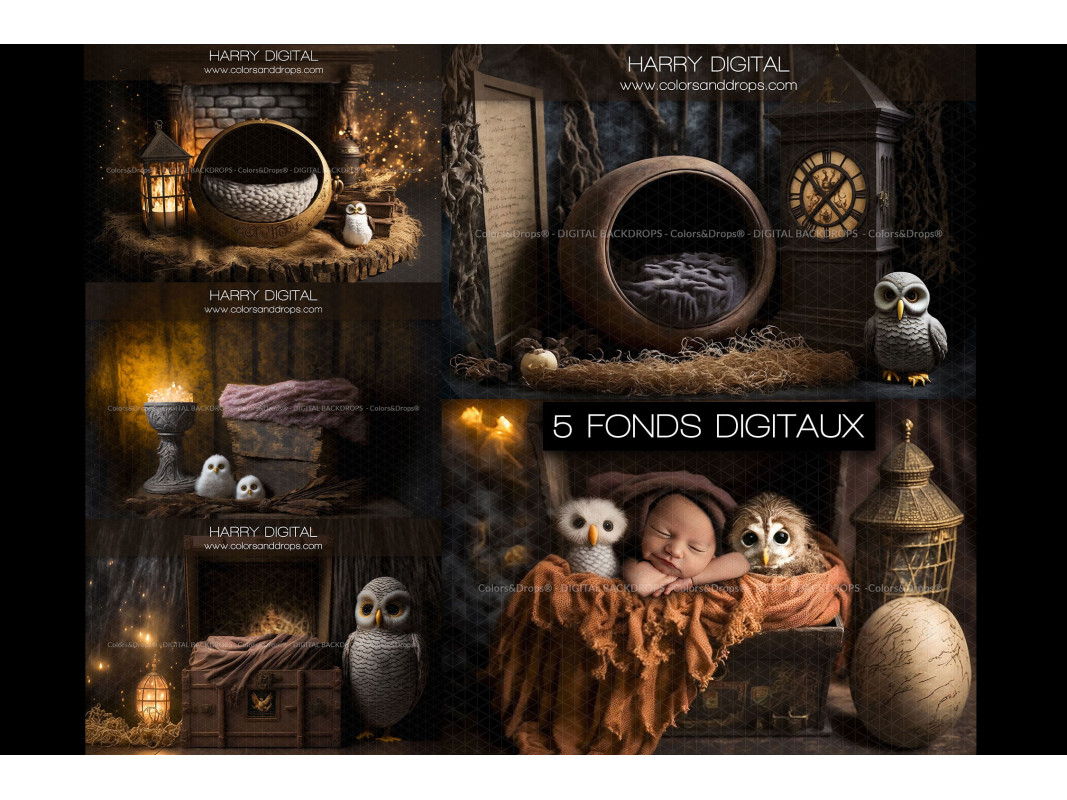 HARRY DIGITAL BUNDLE