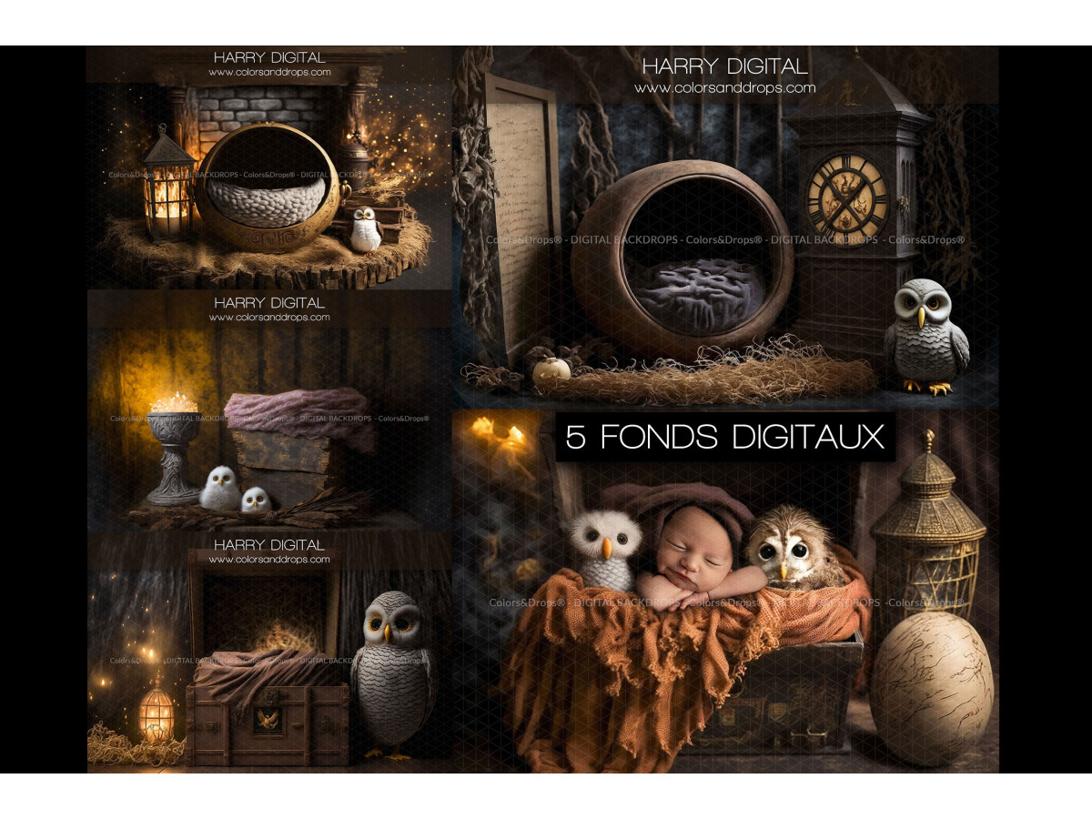 HARRY DIGITAL BUNDLE