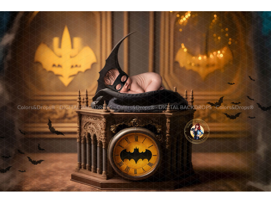 FLYBAT