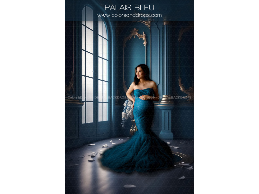X7 PALAIS BLEU DIGITAL BUNDLE