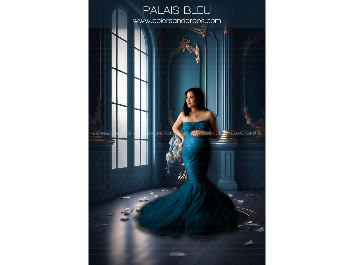 X7 PALAIS BLEU DIGITAL BUNDLE