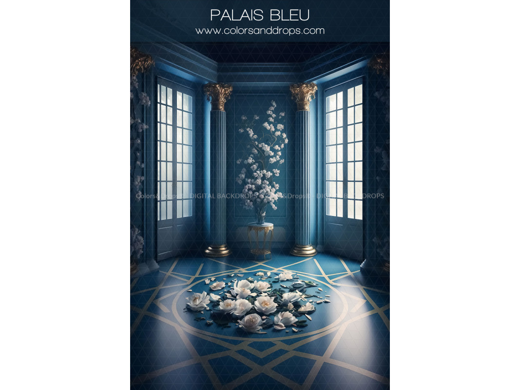X7 PALAIS BLEU DIGITAL BUNDLE