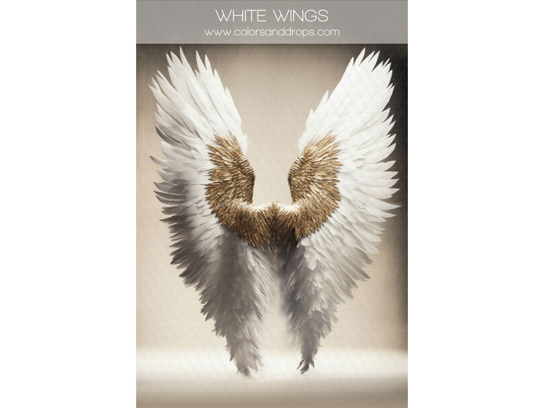 X4 BUNDLE DIGITAL WINGS