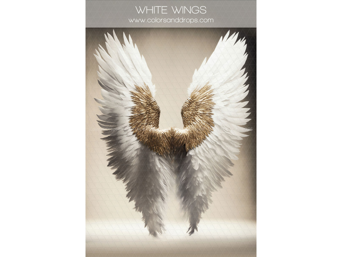 X4 WHITE WINGS DIGITAL BUNDLE