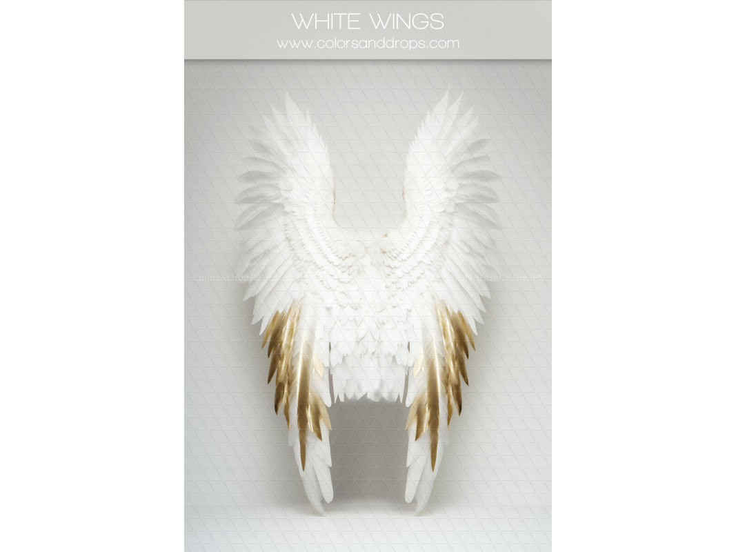 X4 WHITE WINGS DIGITAL BUNDLE