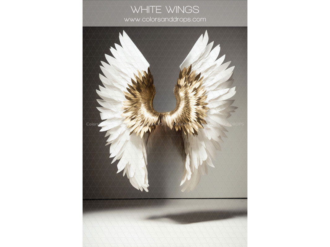 X4 WHITE WINGS DIGITAL BUNDLE