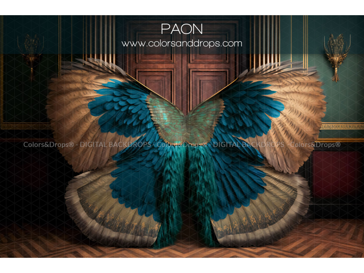 X7 PAON DIGITAL BUNDLE