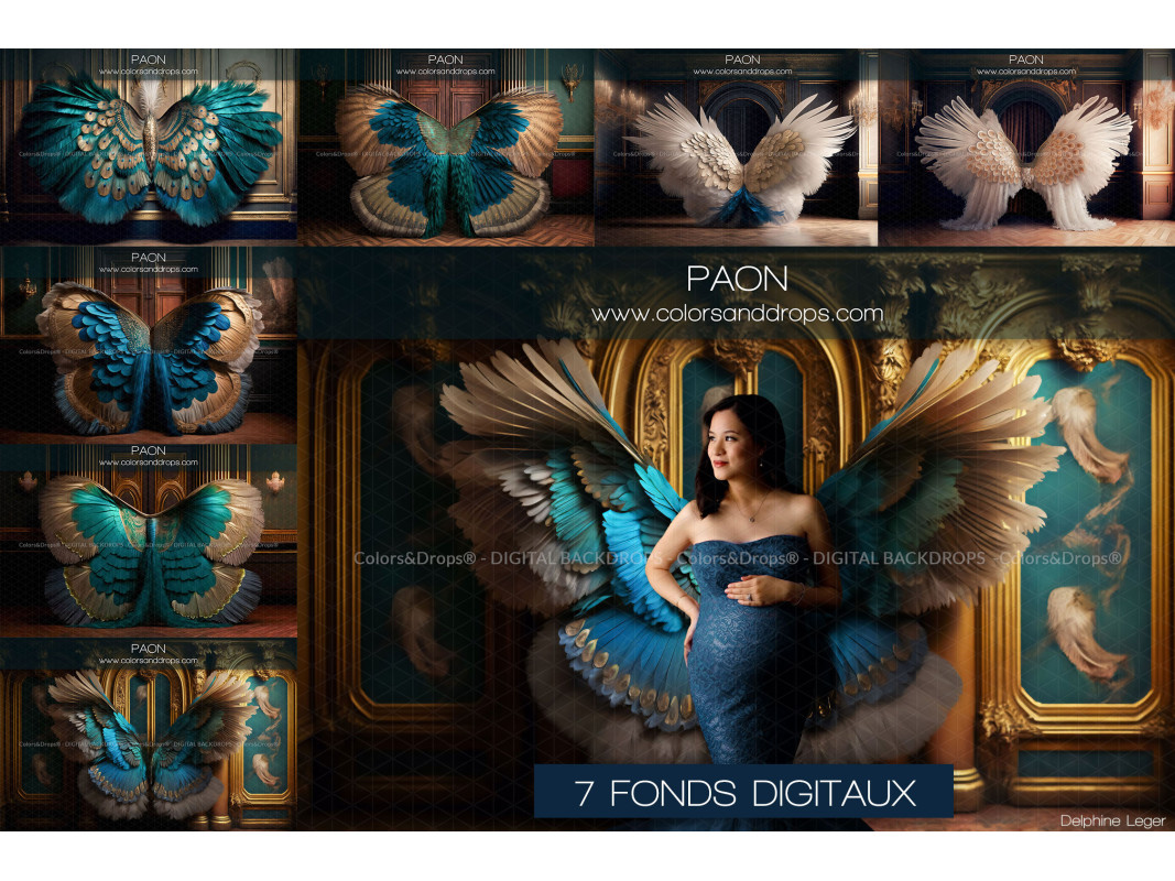 X7 PAON DIGITAL BUNDLE