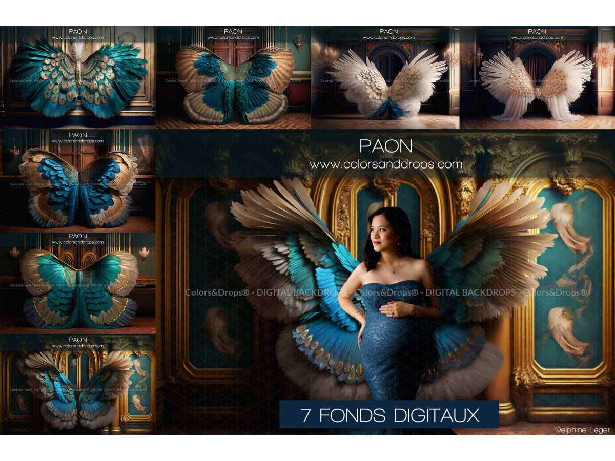 X7 PAON DIGITAL BUNDLE