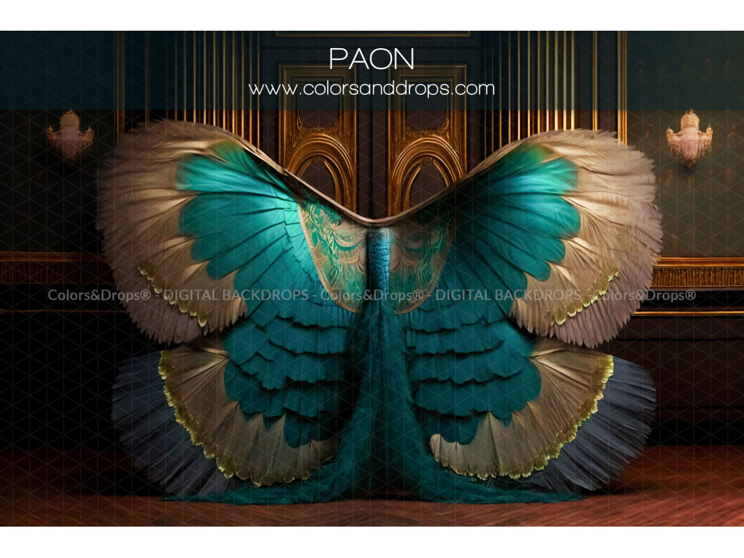 X7 PAON DIGITAL BUNDLE