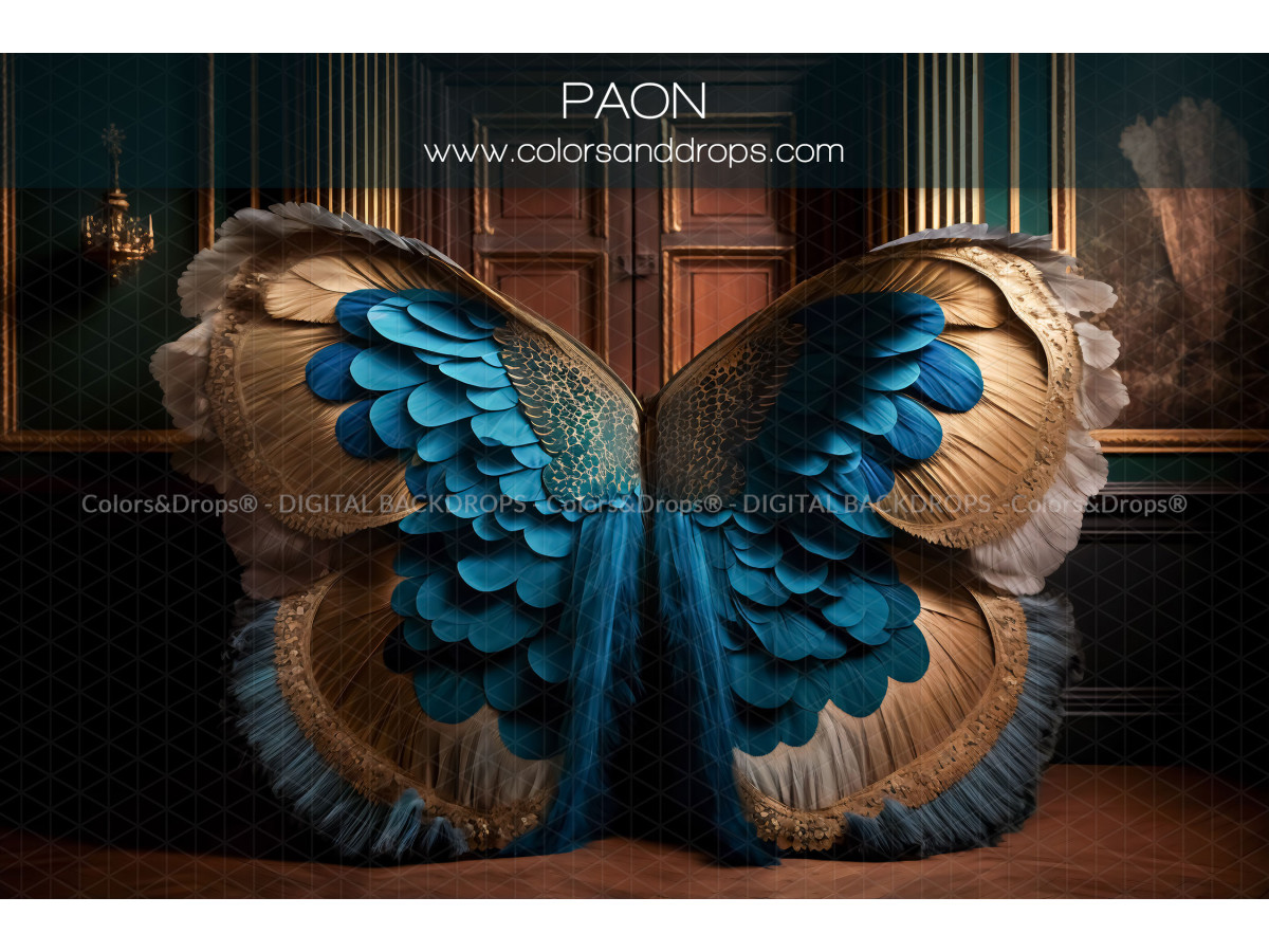 X7 PAON DIGITAL BUNDLE