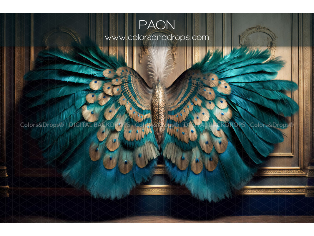 X7 PAON DIGITAL BUNDLE