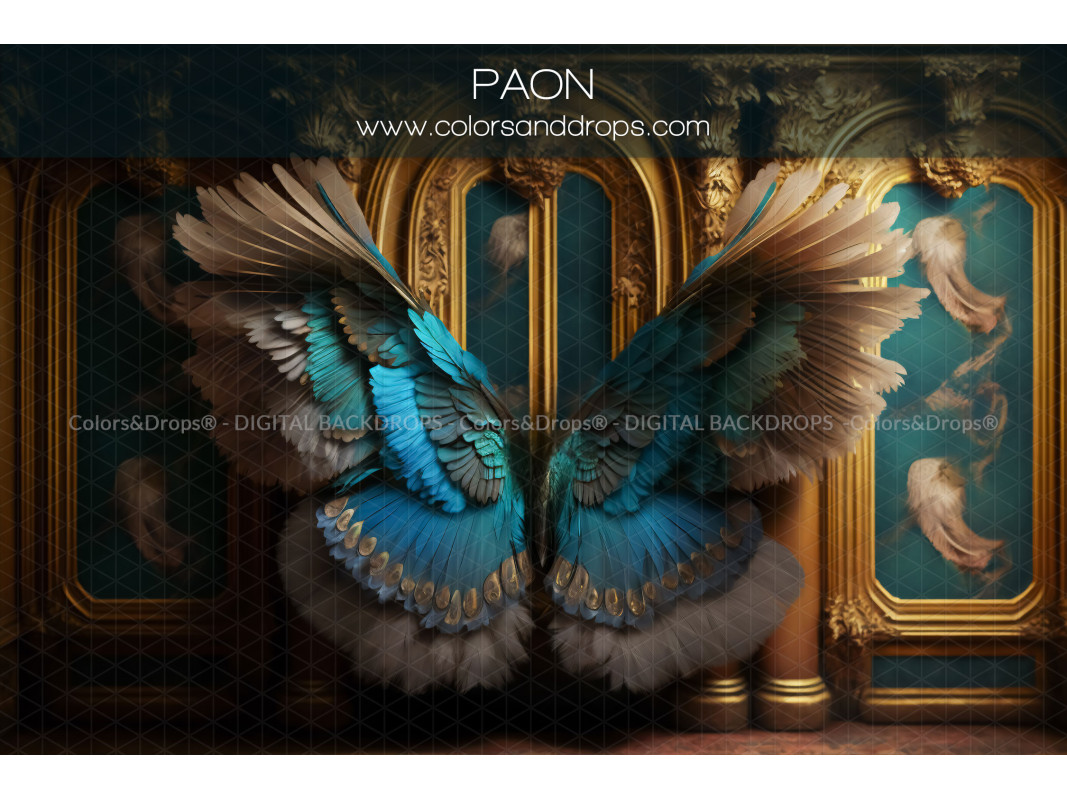 X7 PAON DIGITAL BUNDLE