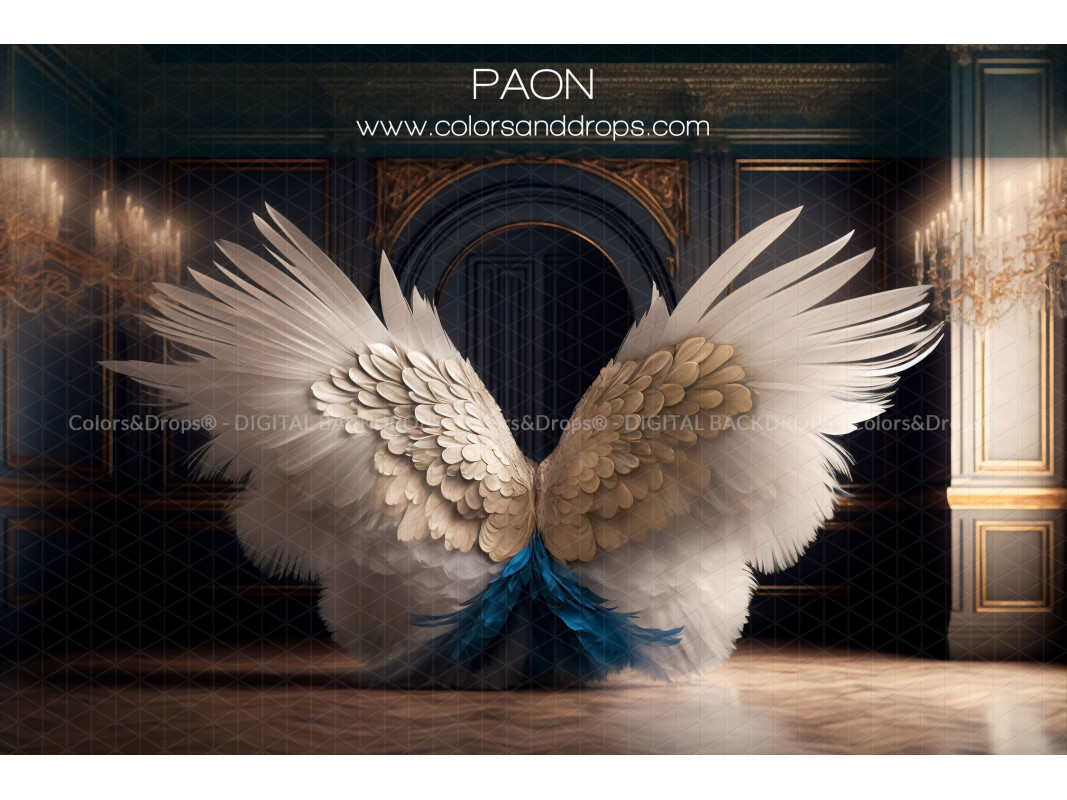 X7 PAON DIGITAL BUNDLE