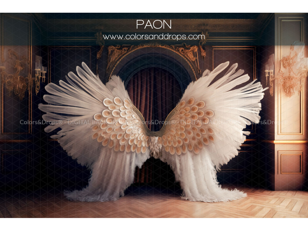 X7 PAON DIGITAL BUNDLE