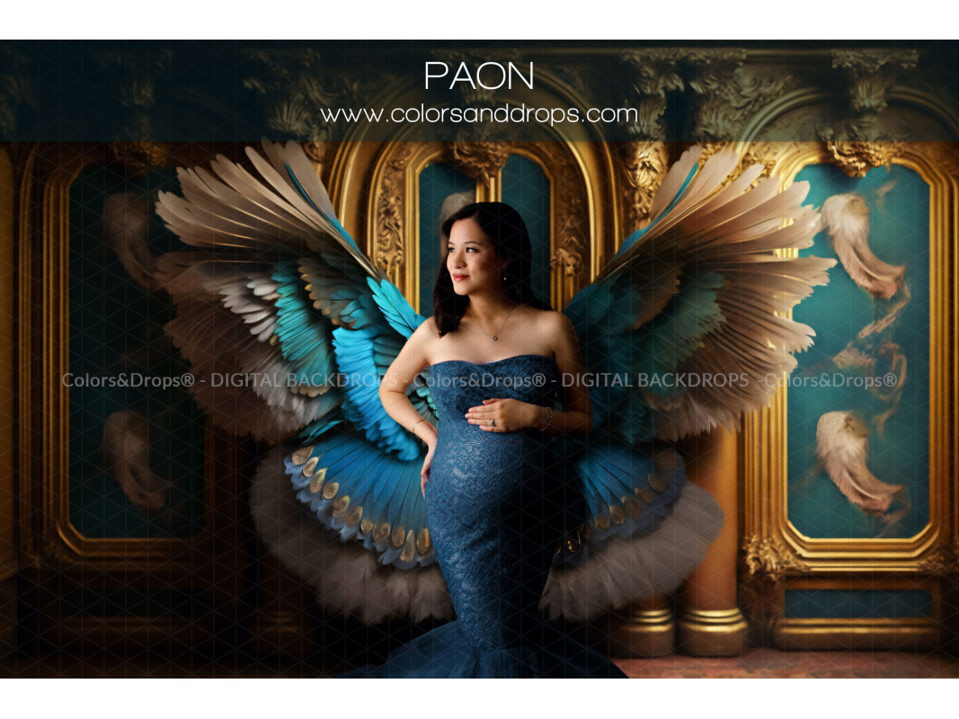 X7 PAON DIGITAL BUNDLE