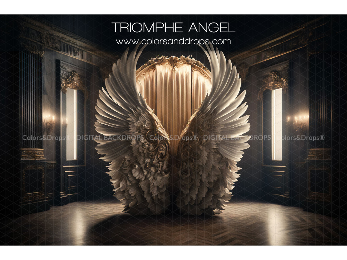 X8 TRIOMPHE ANGEL DIGITAL BUNDLE