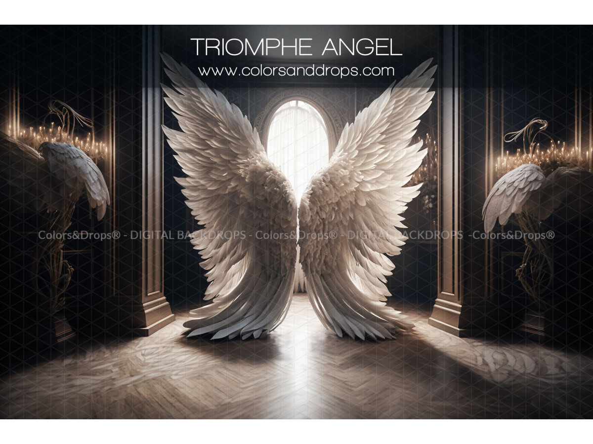 X8 TRIOMPHE ANGEL DIGITAL BUNDLE