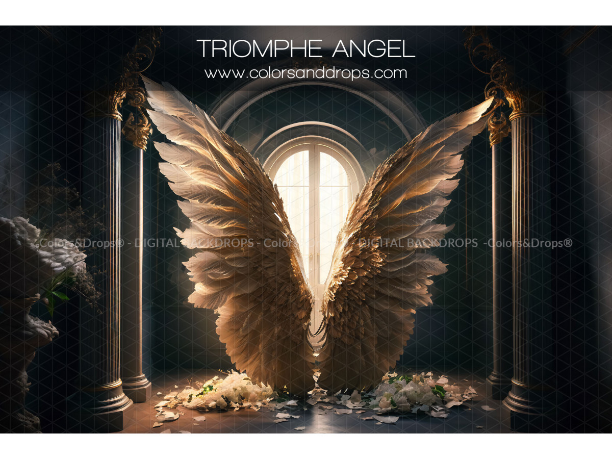 X8 TRIOMPHE ANGEL DIGITAL BUNDLE