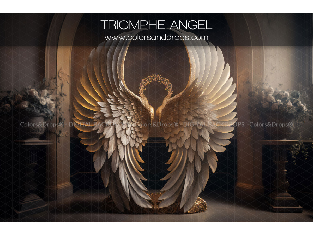 X8 TRIOMPHE ANGEL DIGITAL BUNDLE