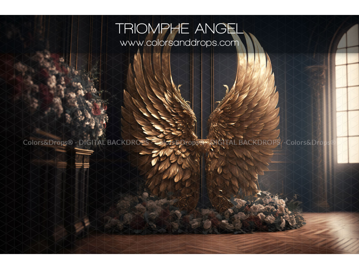 X8 TRIOMPHE ANGEL DIGITAL BUNDLE