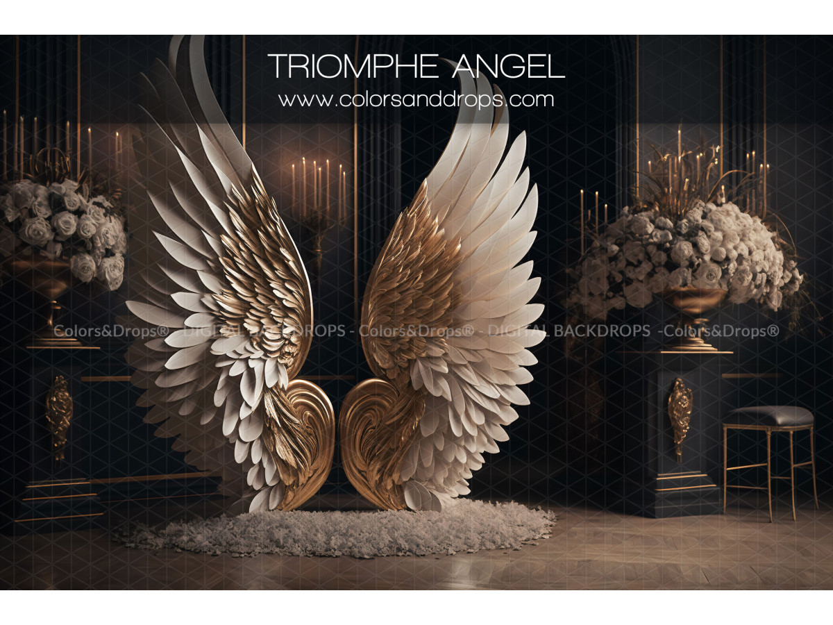 X8 TRIOMPHE ANGEL DIGITAL BUNDLE