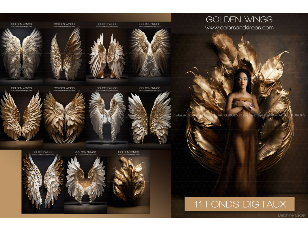 X11 GOLDEN WINGS DIGITAL BUNDLE
