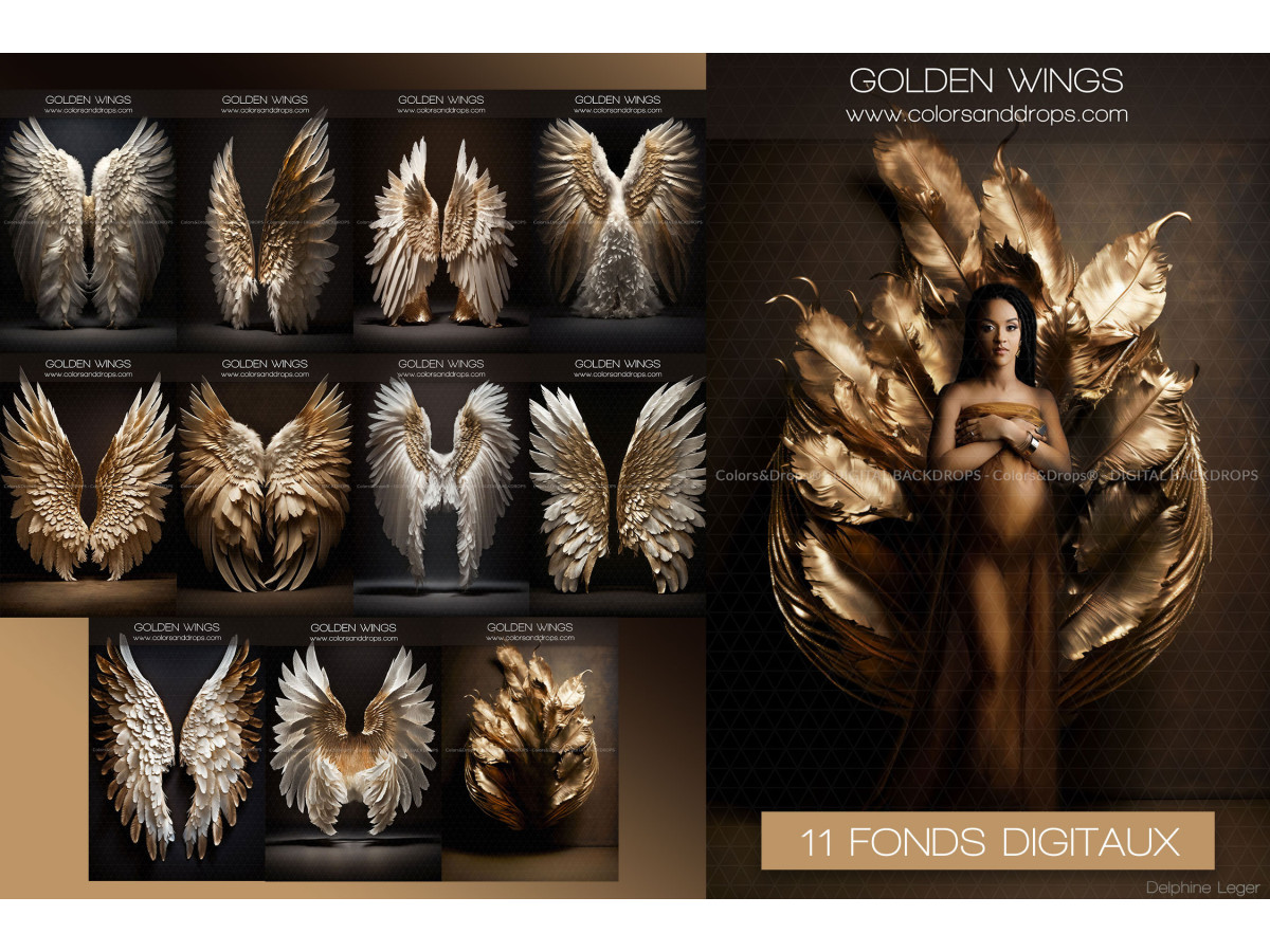X11 GOLDEN WINGS DIGITAL BUNDLE