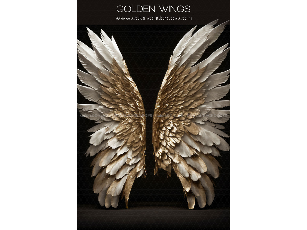 X11 GOLDEN WINGS DIGITAL BUNDLE