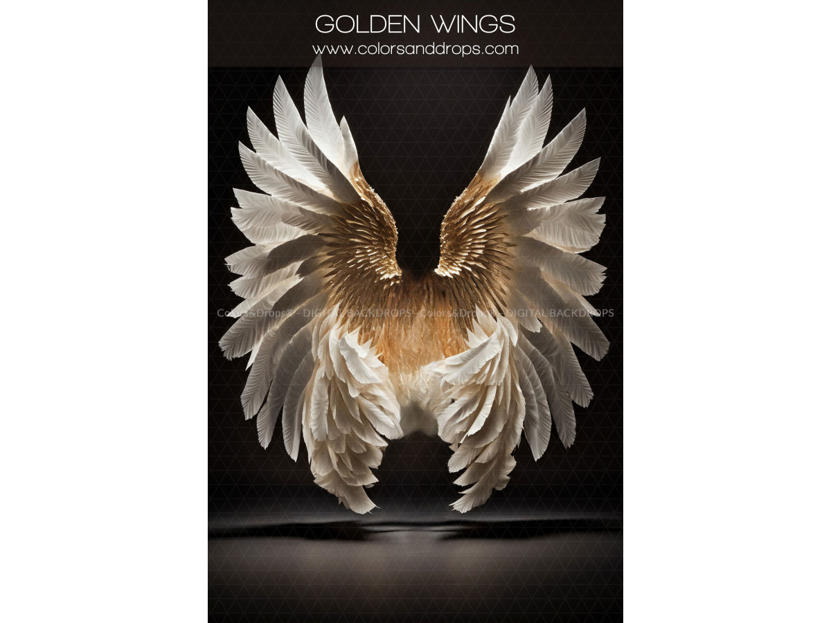 X11 GOLDEN WINGS DIGITAL BUNDLE