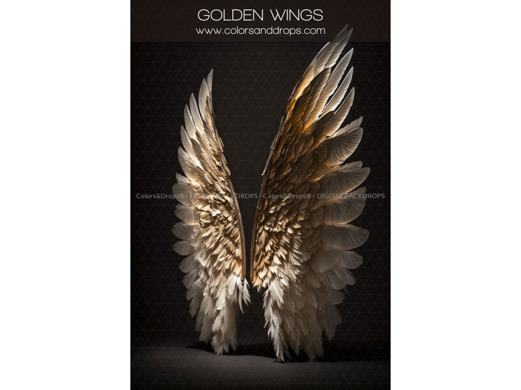 X11 GOLDEN WINGS DIGITAL BUNDLE