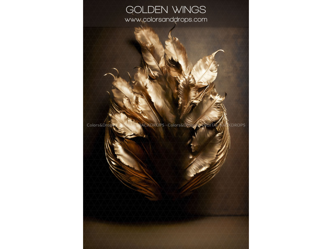 X11 GOLDEN WINGS DIGITAL BUNDLE