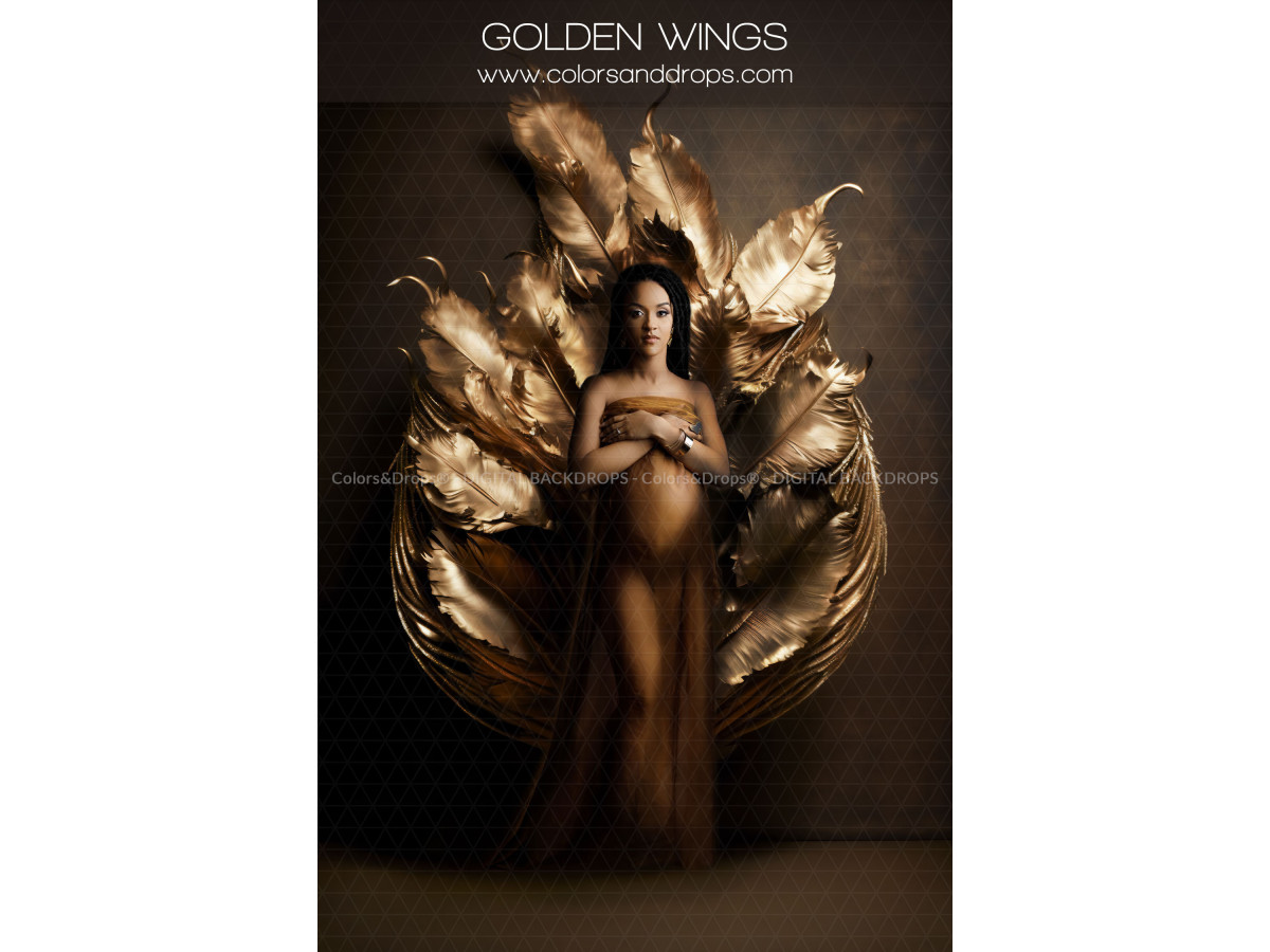 X11 GOLDEN WINGS DIGITAL BUNDLE