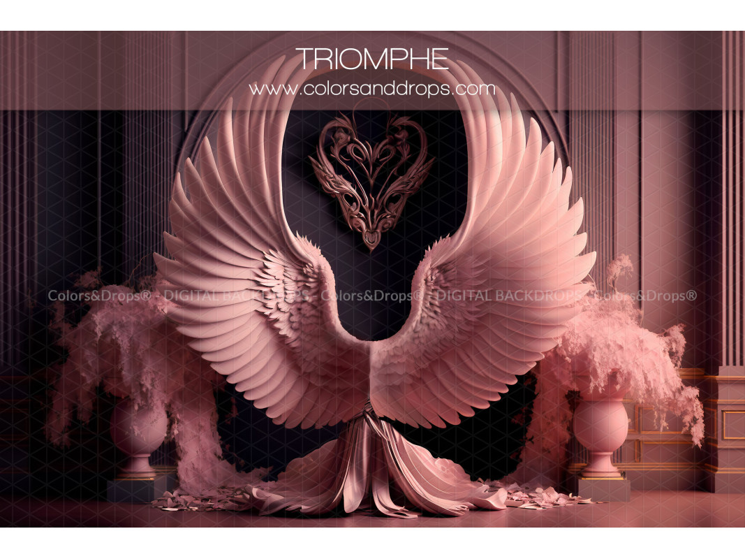 X6 TRIOMPHE DIGITAL BUNDLE