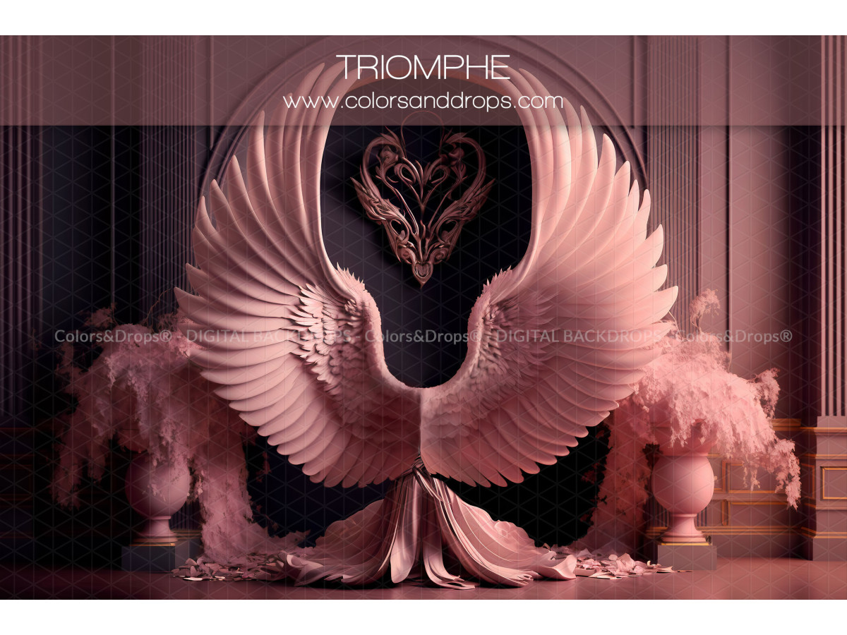 X6 TRIOMPHE DIGITAL BUNDLE
