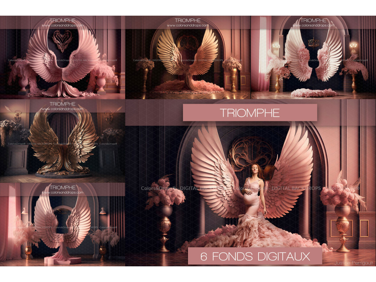 X6 TRIOMPHE DIGITAL