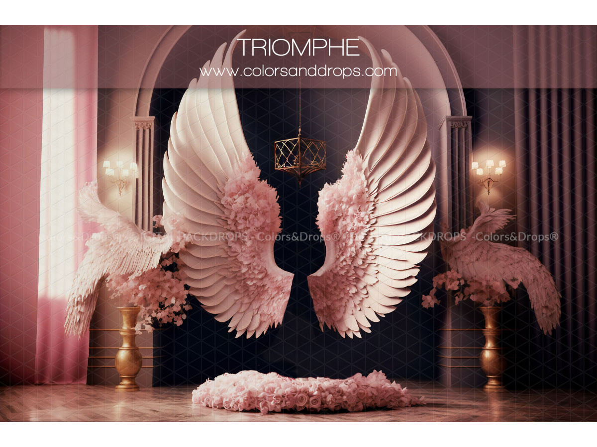X6 TRIOMPHE DIGITAL BUNDLE