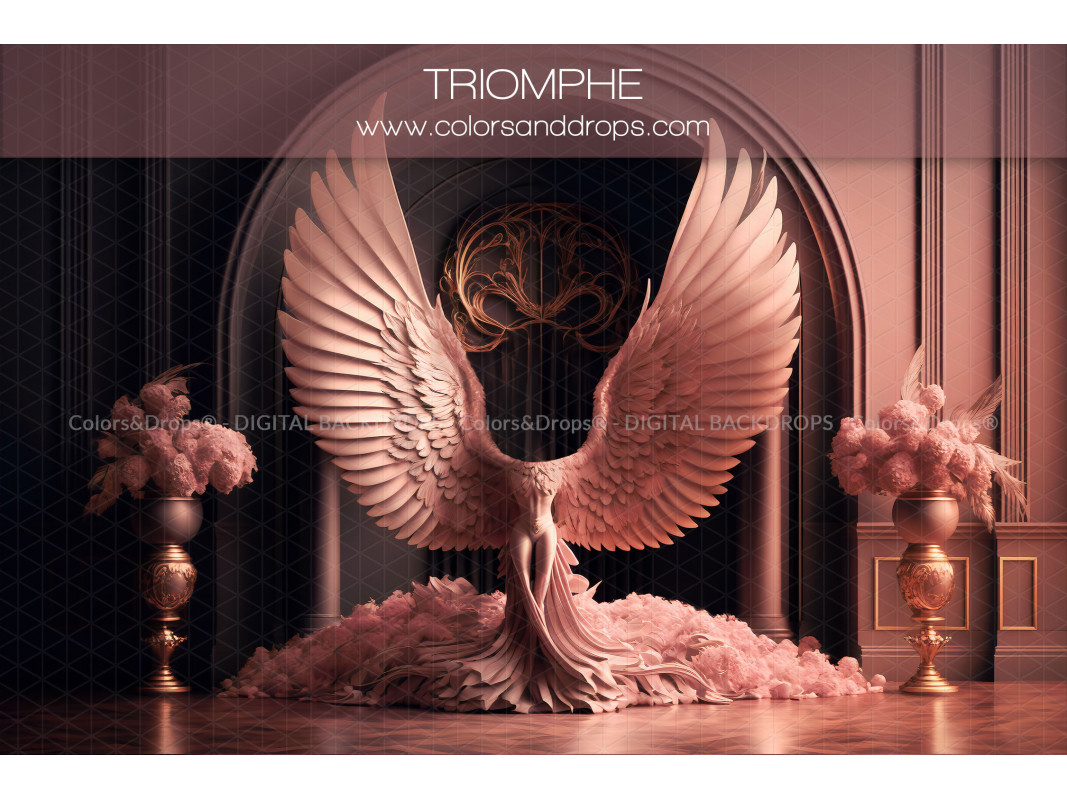 X6 TRIOMPHE DIGITAL BUNDLE